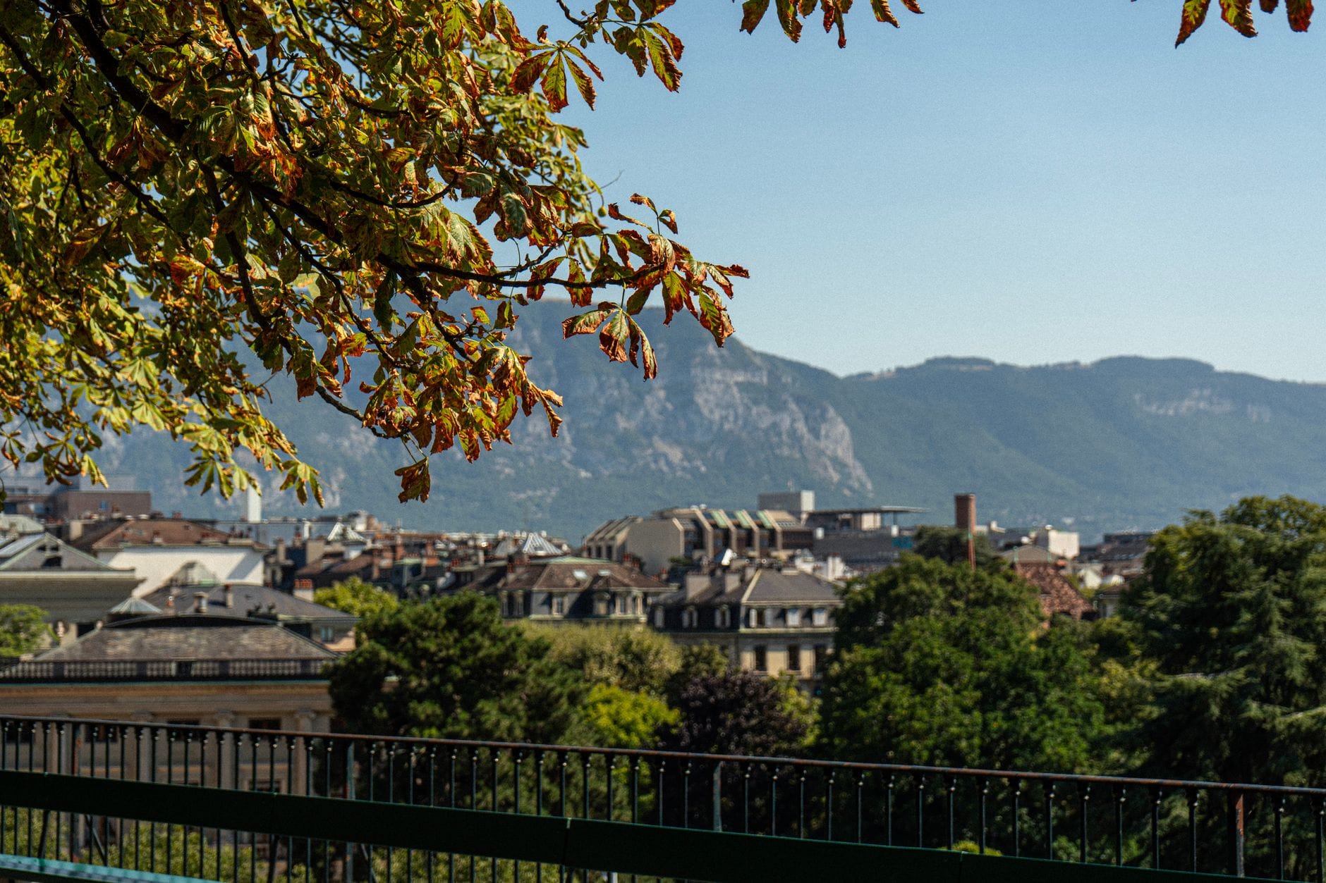 Reprendre une entreprise en Suisse romande : les bons réflexes - business - analyse financière business